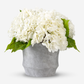 Ryann RealTouch Hydrangea Arrangement