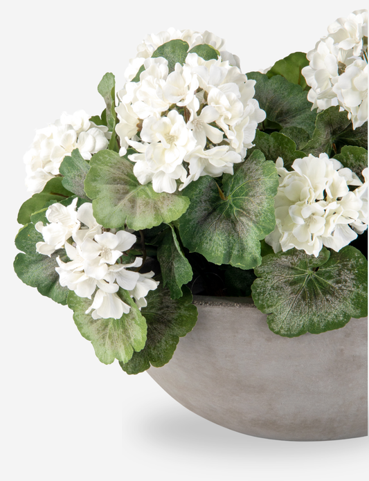 Felice Snowball Hydrangea Arrangement