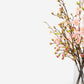 Theodora Mixed Floral Blush Arrangement