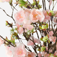 Thiery Handled Cherry Blossom Arrangement