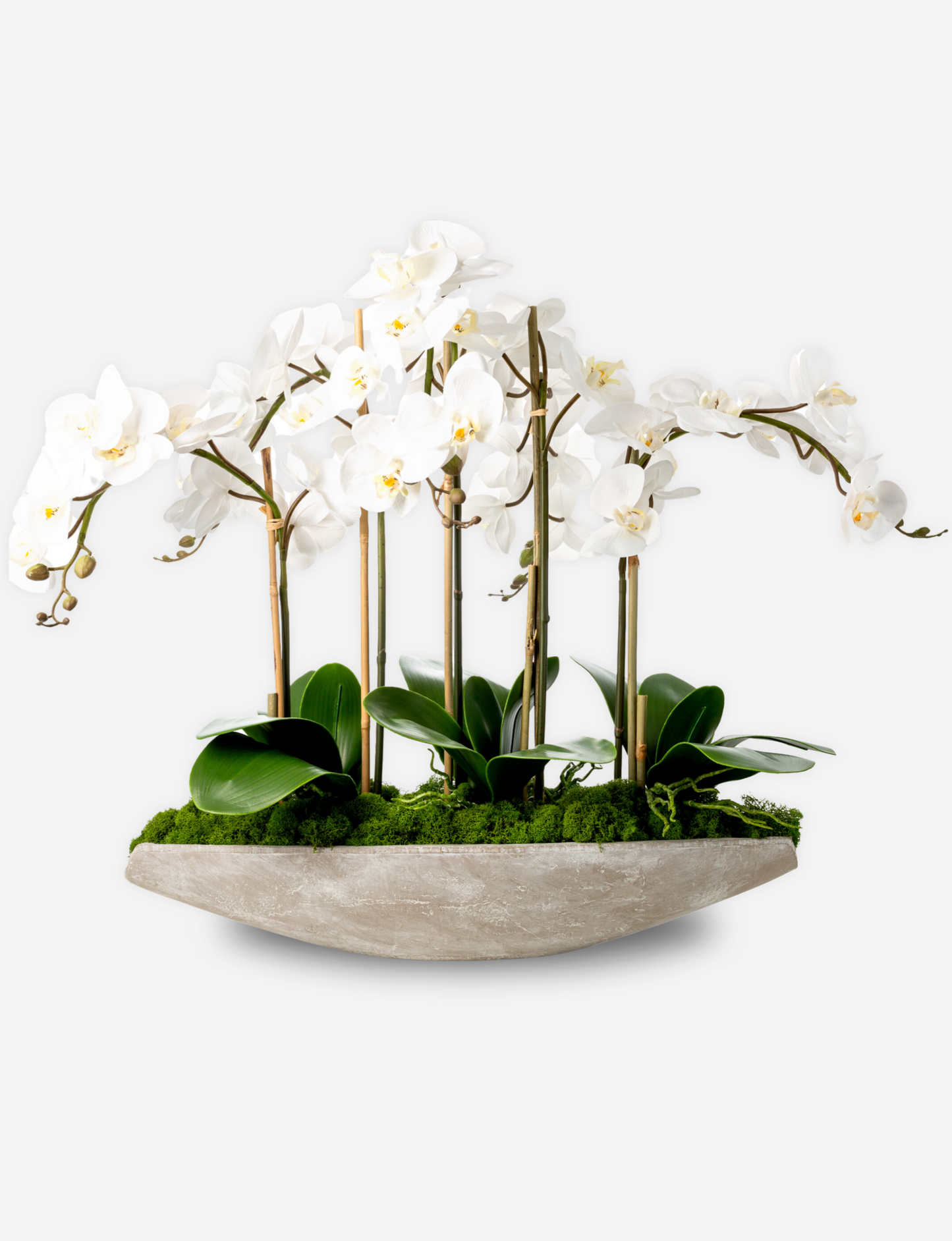 Elsa Orchid Planter