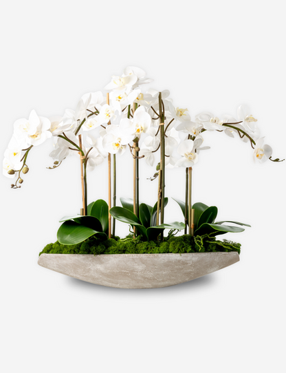 Elsa RealTouch Orchid Planter