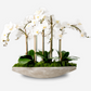 Elsa RealTouch Orchid Planter