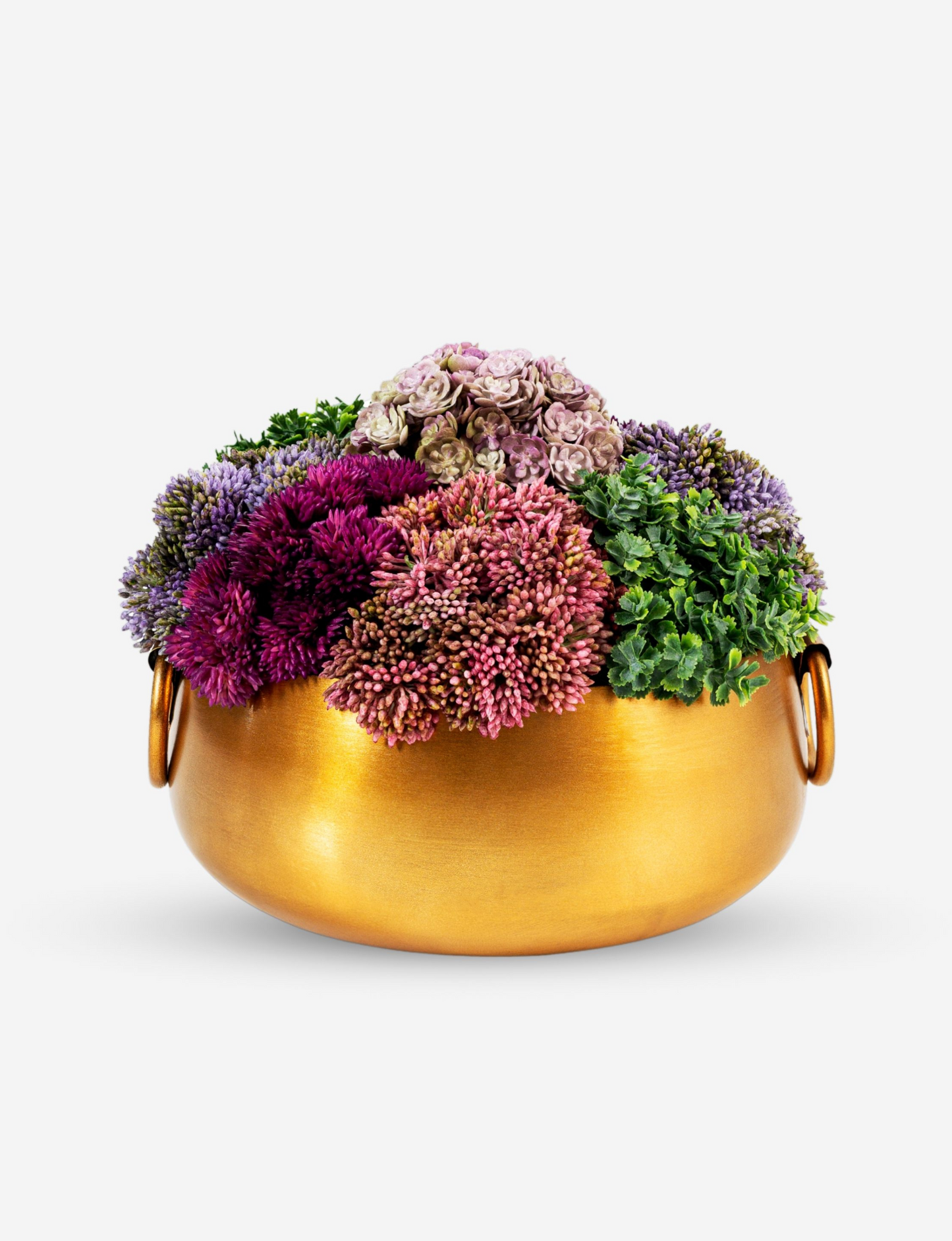 Alba Gold Sedum Arrangement