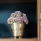 Parker Hydrangea Arrangement