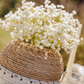 Veyra Baby's Breath Arrangement