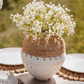 Veyra Baby's Breath Arrangement