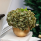 Auden RealTouch Hydrangea Arrangement (Holiday Edition)