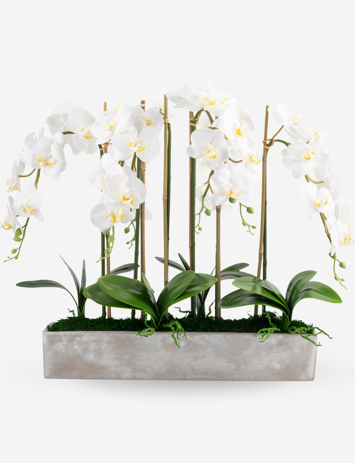 Lilibet RealTouch Orchid Arrangement