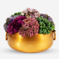 Alba Gold Sedum Arrangement