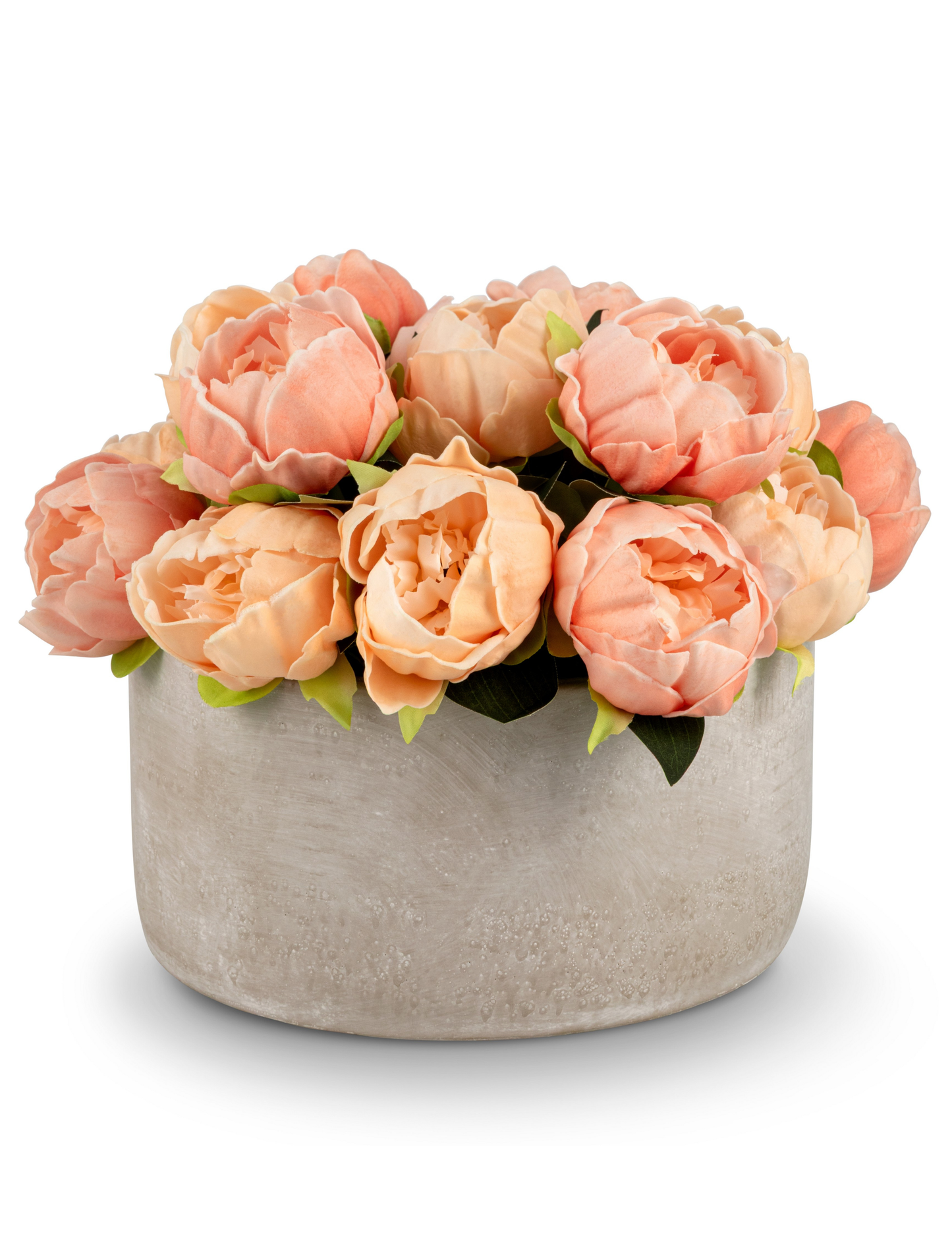 Camelia RealTouch Peony Bundle
