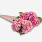 Cecilia RealTouch Hydrangea Bundle