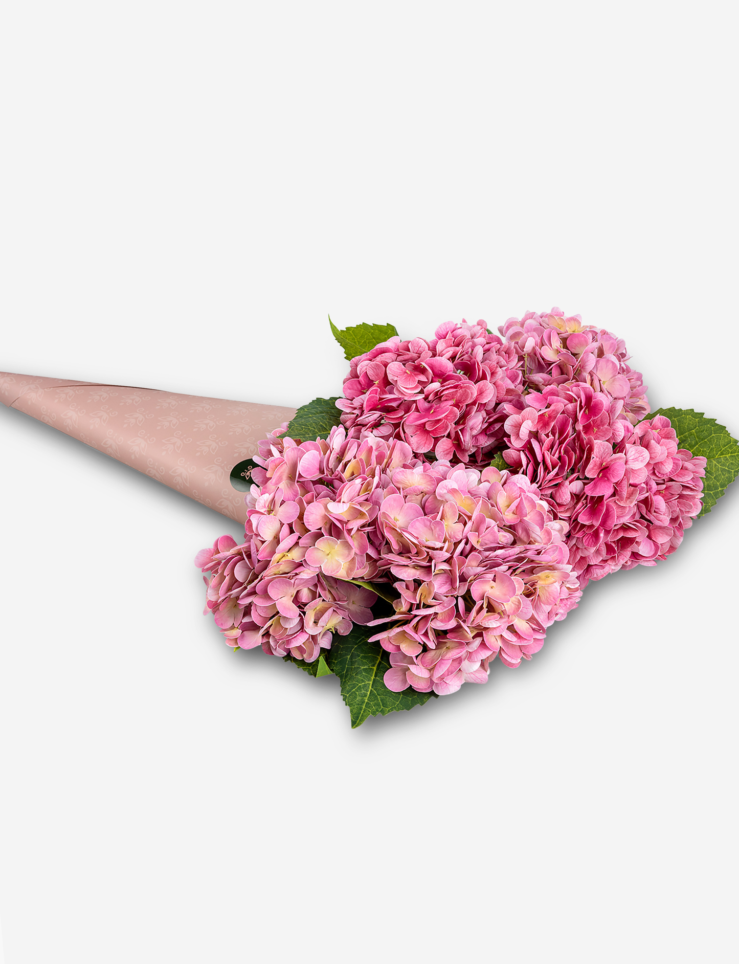 Cecilia RealTouch Hydrangea Bundle