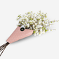 Cielo Cherry Blossom Bundle