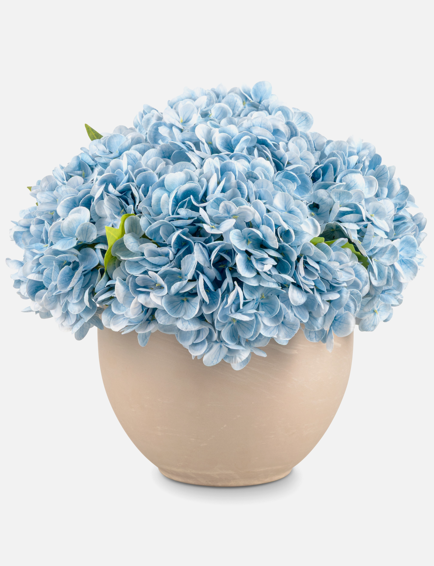 Azalea RealTouch Hydrangea Arrangement