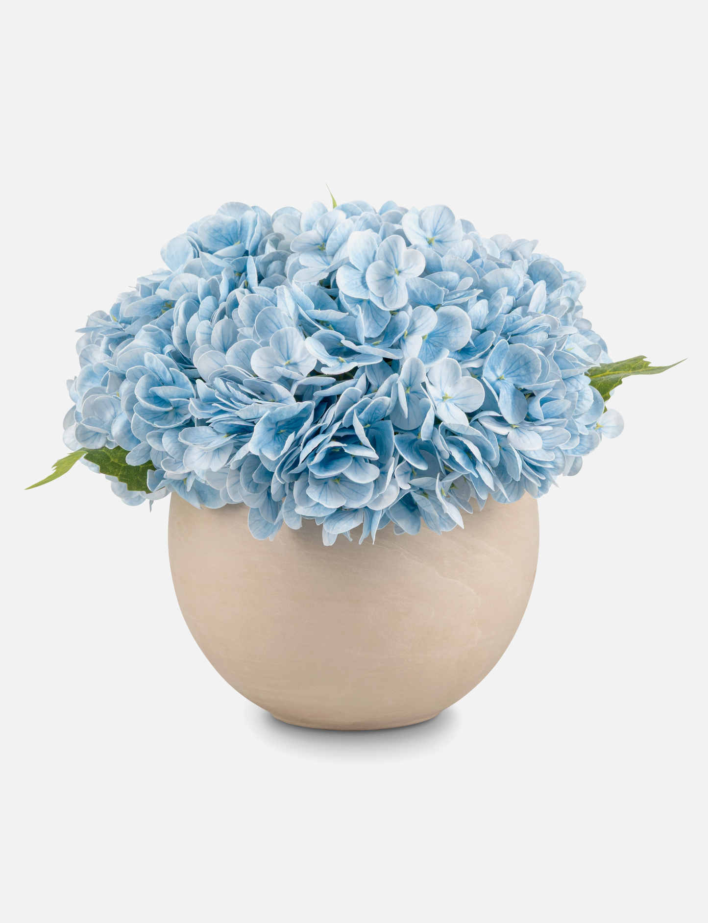 Azalea RealTouch Hydrangea Arrangement