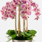 Abrienne RealTouch Orchid Arrangement