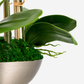 Abrienne RealTouch Orchid Arrangement