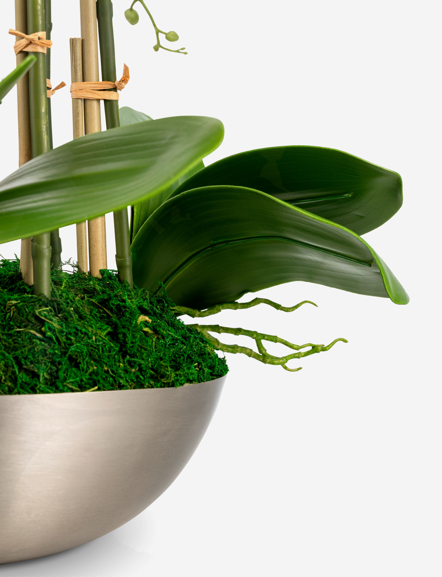 Abrienne RealTouch Orchid Arrangement