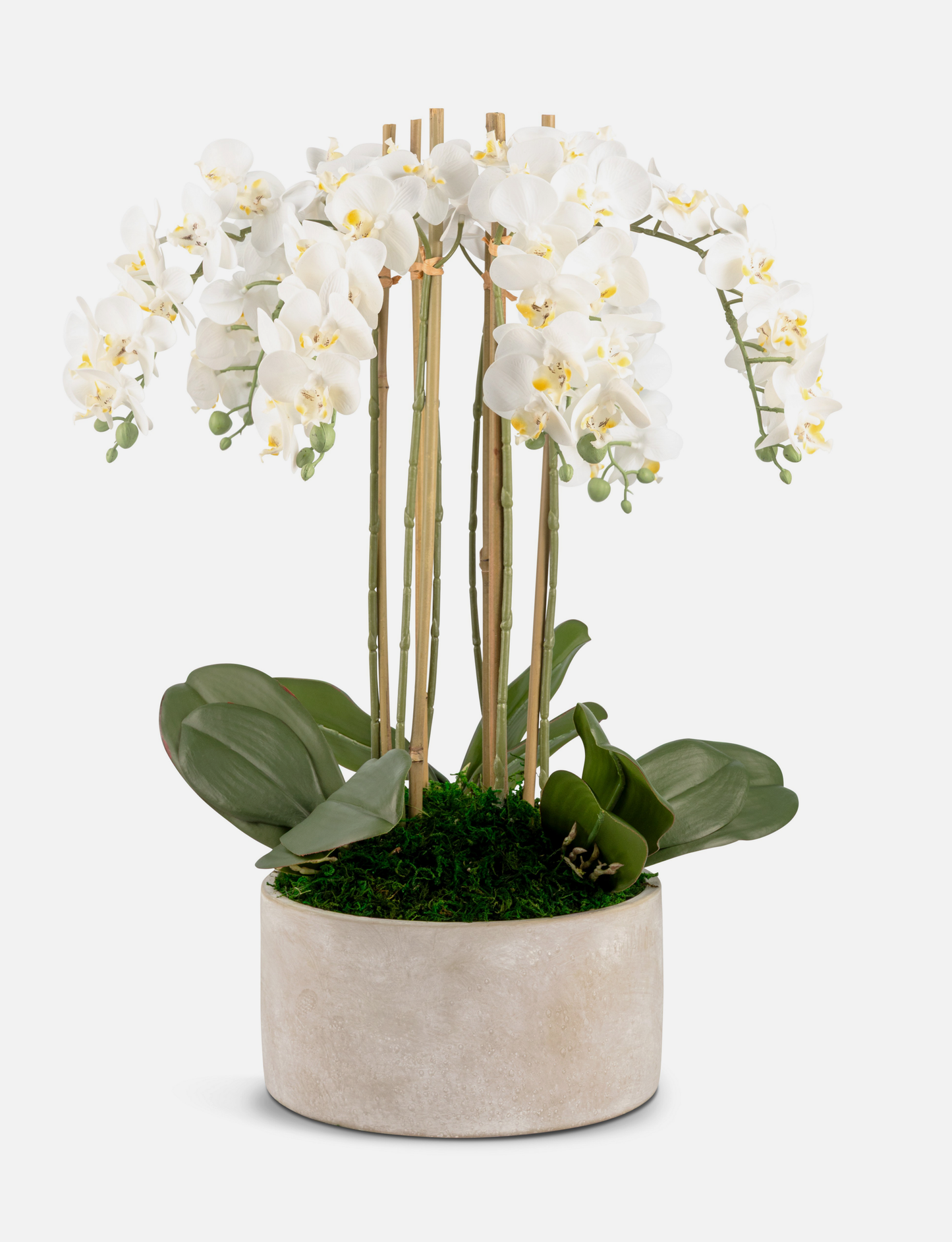 Veronique RealTouch Orchid Arrangement