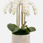 Veronique RealTouch Orchid Arrangement