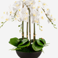 Abella RealTouch Orchid Arrangement