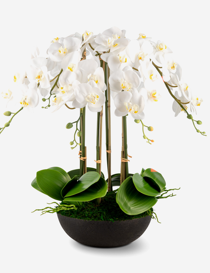 Abella RealTouch Orchid Arrangement