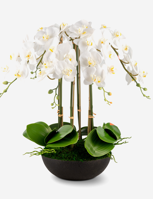 Abella RealTouch Orchid Arrangement