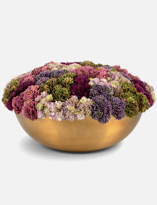 Alix Sedum Arrangement