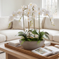 Eleanora RealTouch Orchid Centerpiece