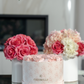 Segovia Rose Hatbox