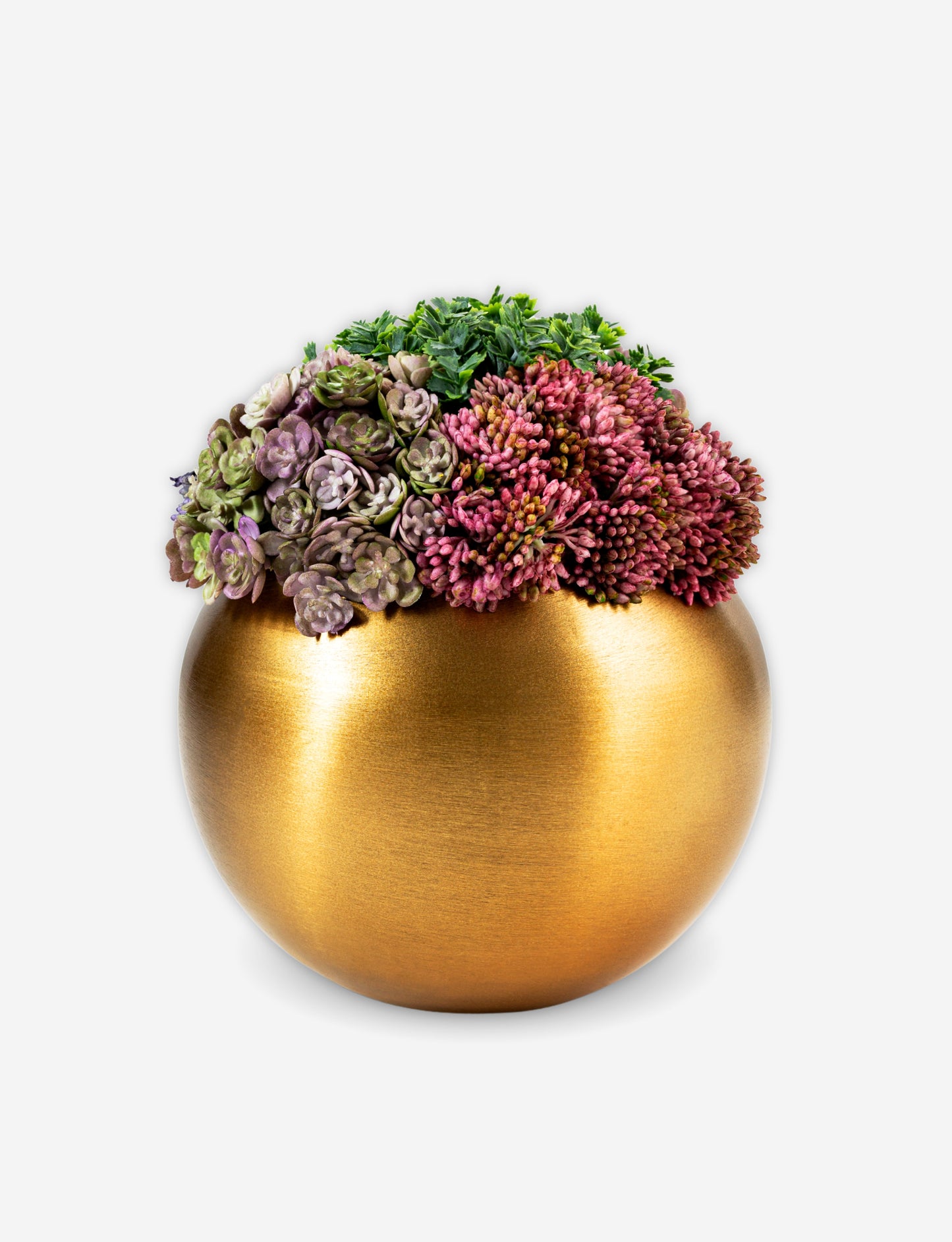 Valencia Gold Sedum Arrangement