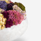 Verona Sedum Arrangement