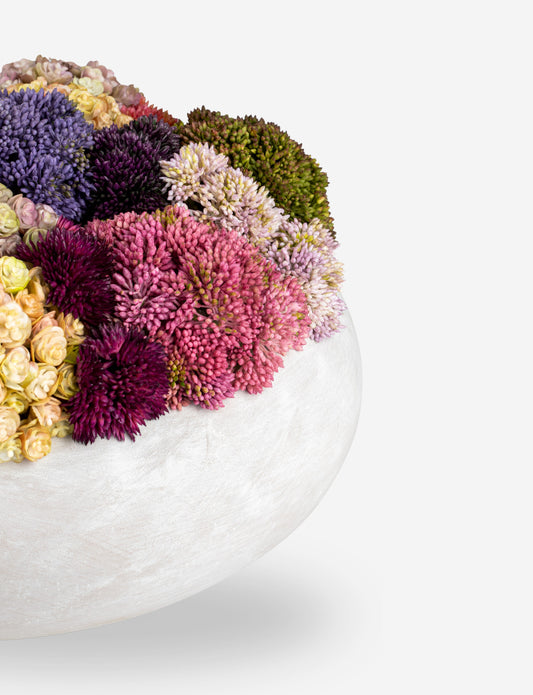 Verona Sedum Arrangement