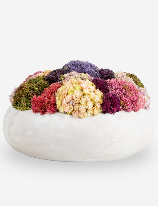 Verona Sedum Arrangement