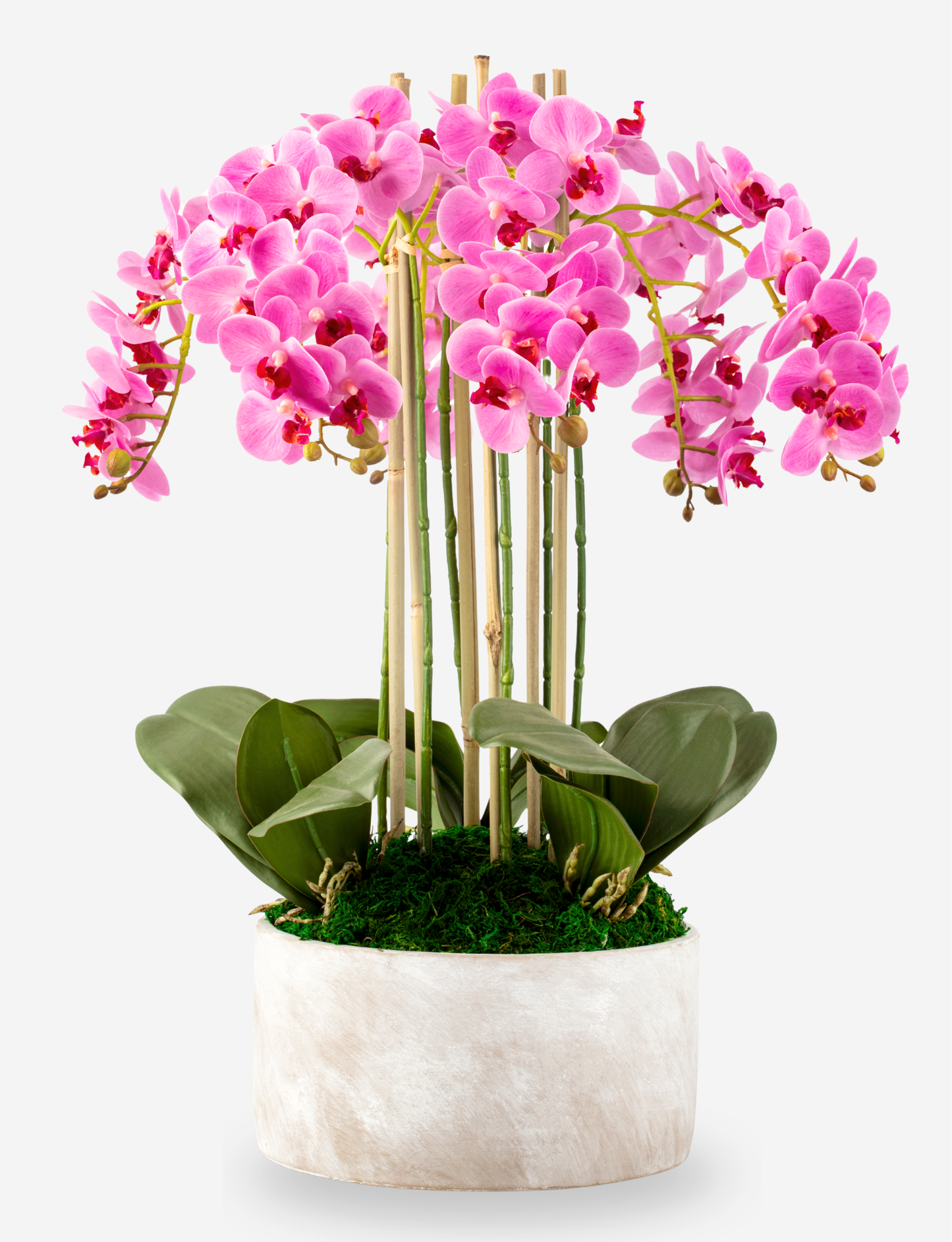 Veronique RealTouch Orchid Arrangement
