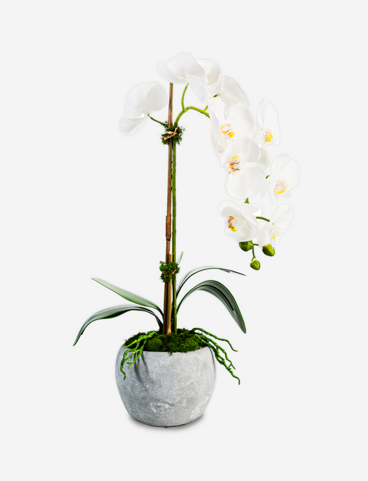 Victoria Ceramic RealTouch Orchid