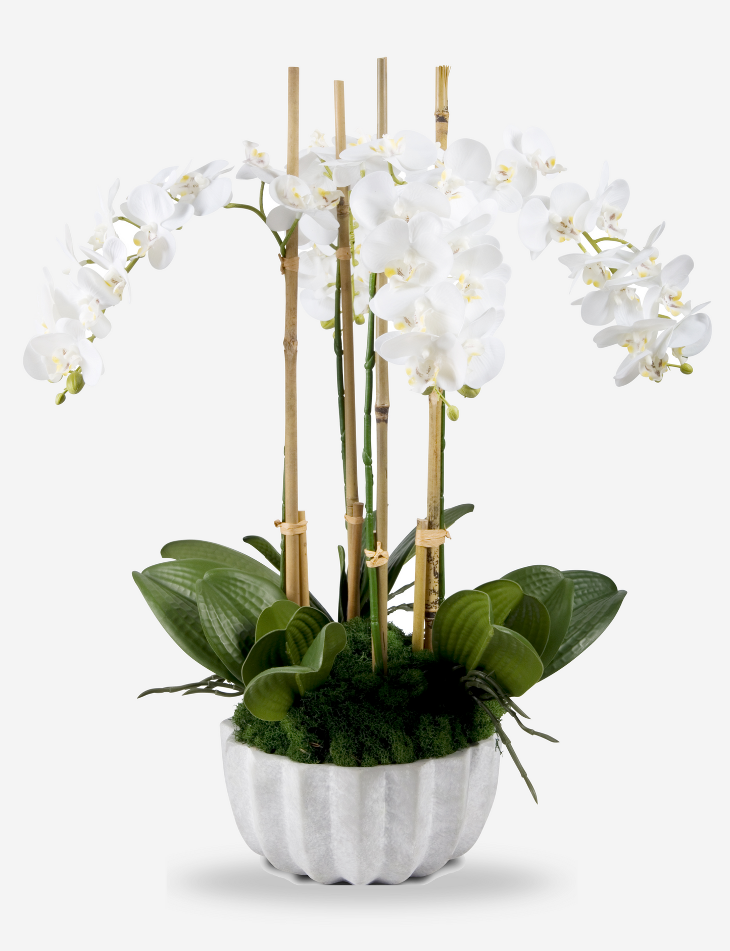 Melody RealTouch Orchid Arrangement