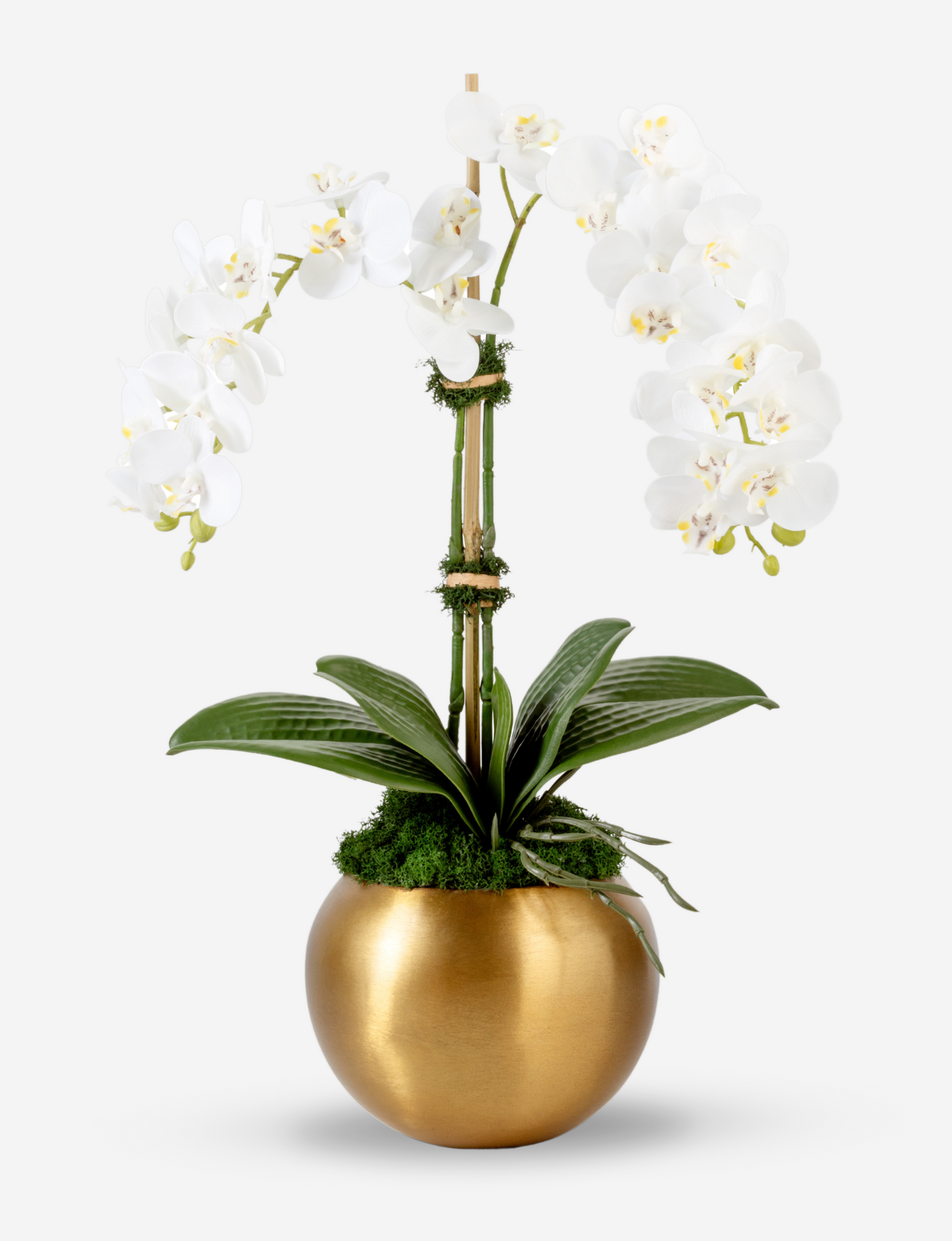 Adeline Gold RealTouch Orchid