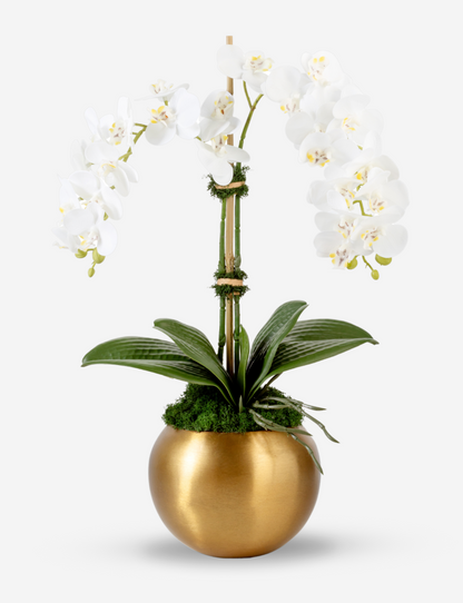Adeline Gold RealTouch Orchid