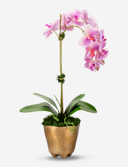 Axel RealTouch Orchid Arrangement