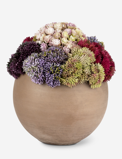 Elias Sedum Arrangement