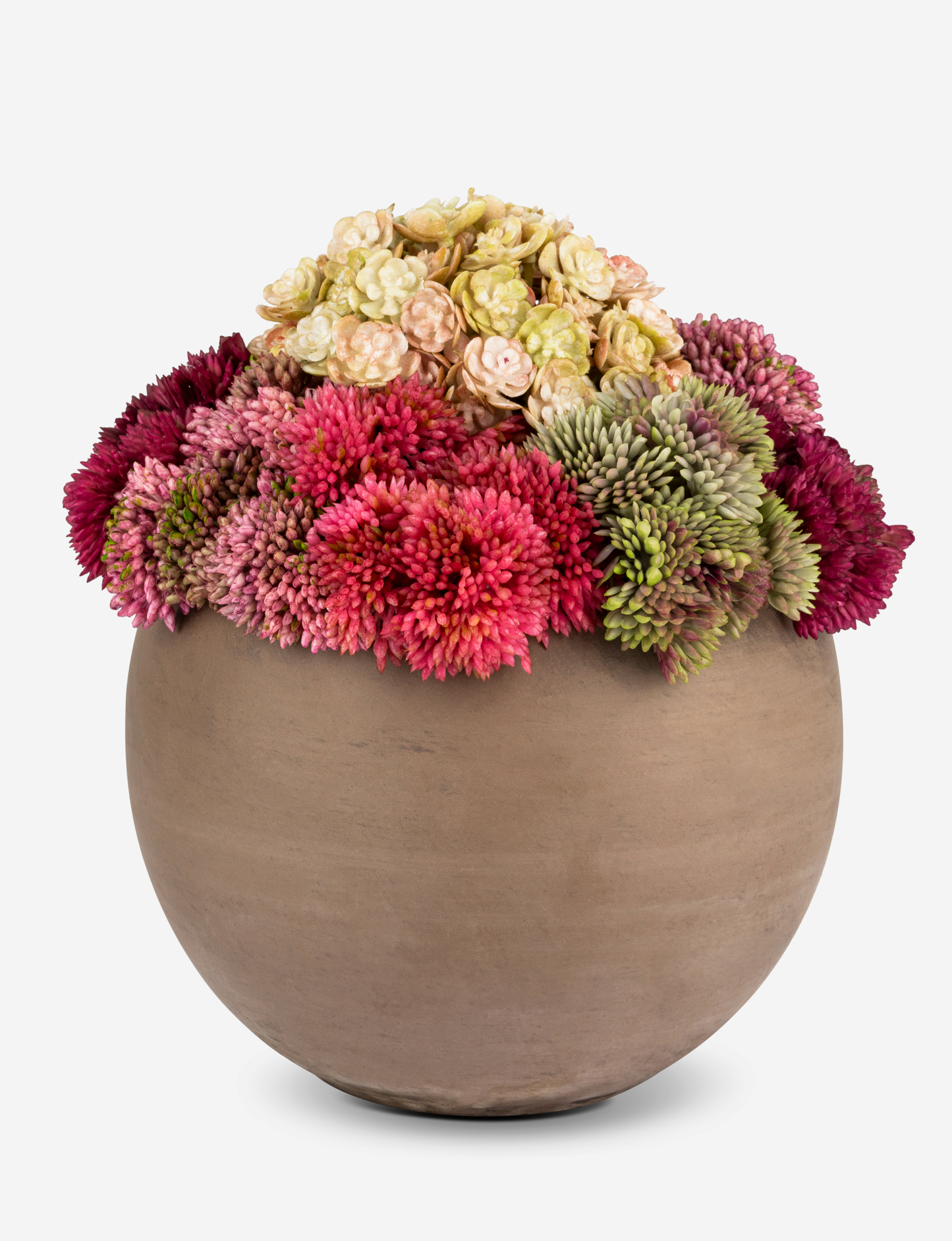 Elias Sedum Arrangement