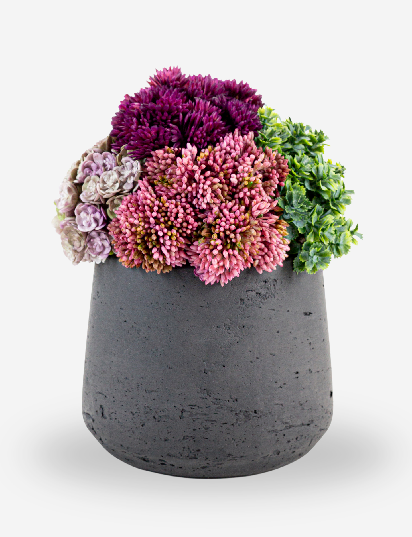 Neriah Mini Sedum Arrangement