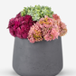 Leigh Sedum Arrangement