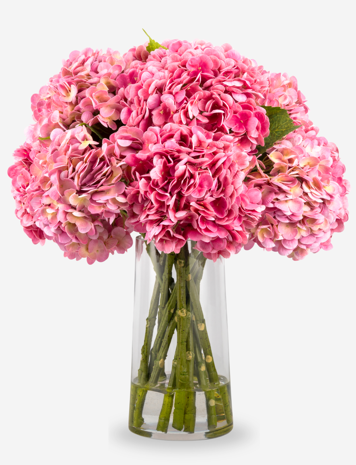 Mirabelle RealTouch Hydrangea Arrangement