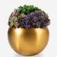 Valencia Gold Sedum Arrangement