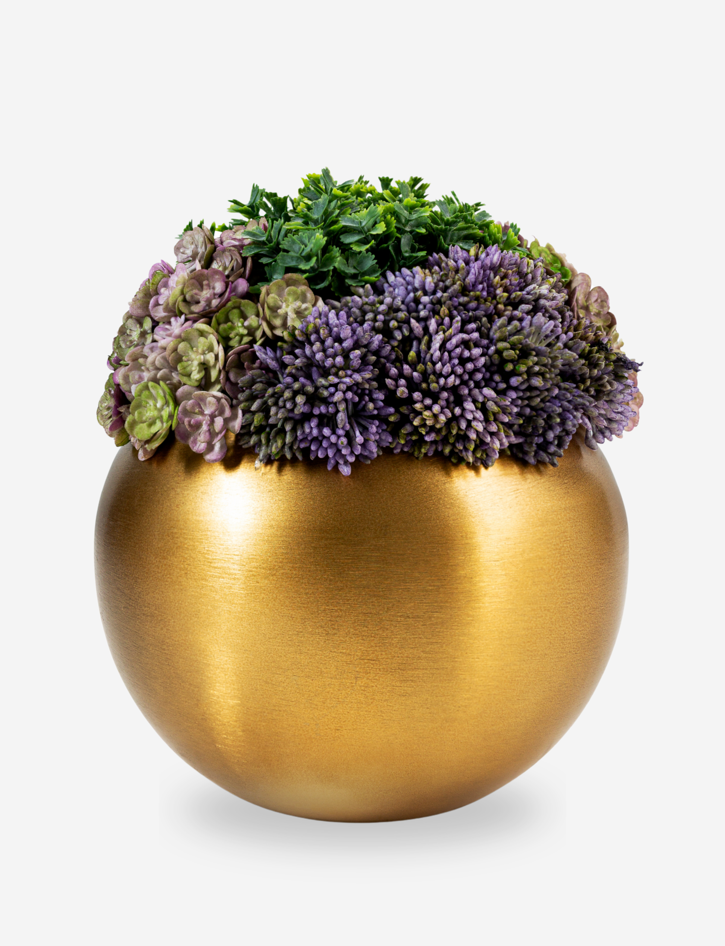 Valencia Gold Sedum Arrangement