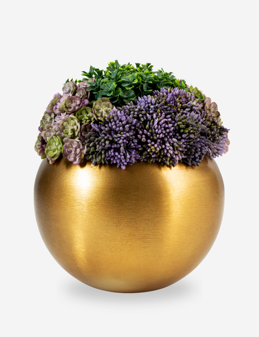 Valencia Gold Sedum Arrangement