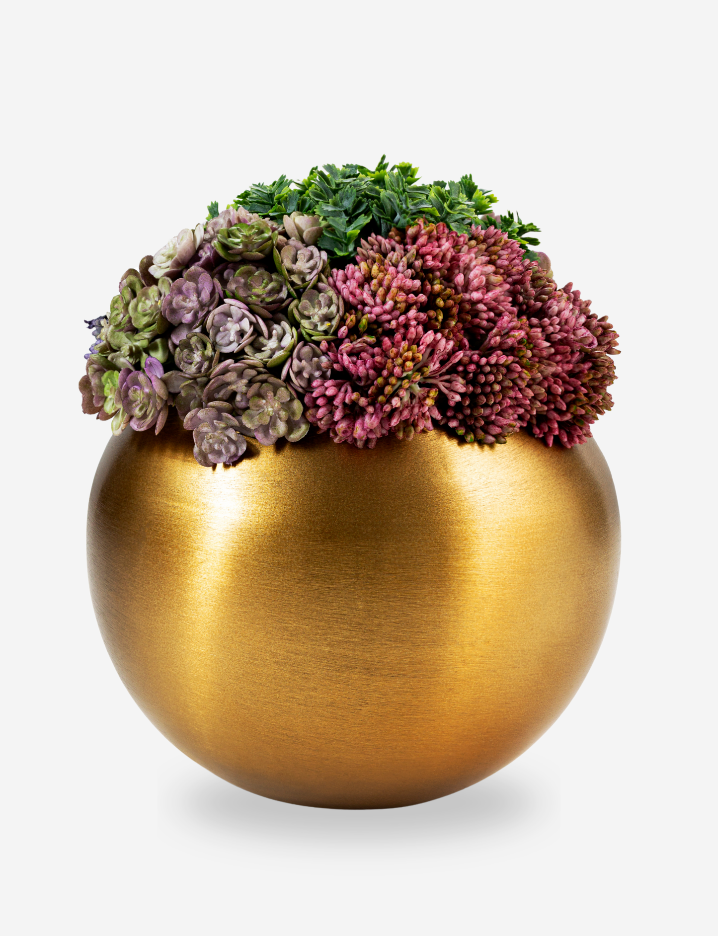 Valencia Gold Sedum Arrangement
